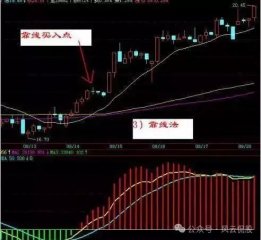 股票软件电脑版后棒跟不上要调整一下